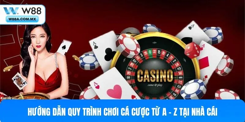 Hướng dẫn quy trình chơi cá cược từ A - Z tại nhà cái